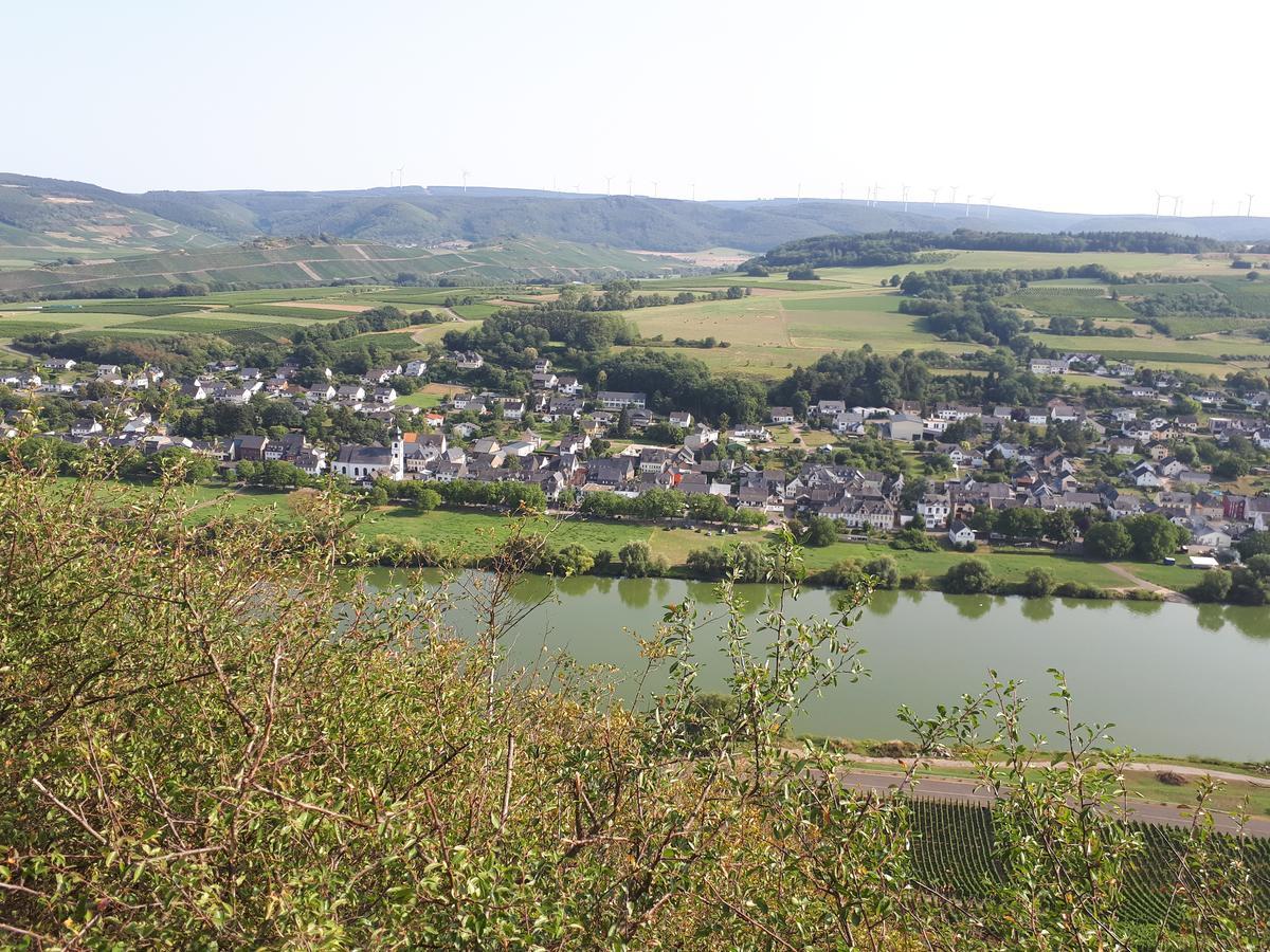 Gaestehaus Jufferpanorama Brauneberg Exterior photo